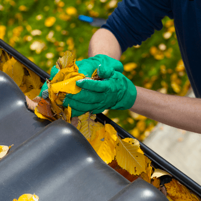 Gutter Cleaning