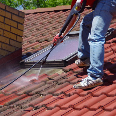 Roof Cleaning