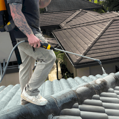Roof Cleaning